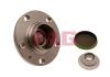 FAG 713610490 Wheel Bearing Kit