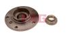FAG 713667060 Wheel Bearing Kit