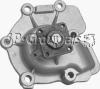 JP GROUP CS1701 Water Pump