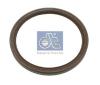 DT 2.10067 (210067) Shaft Seal, crankshaft