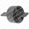 DELPHI TD263W Control Arm-/Trailing Arm Bush