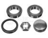 MEYLE 11-146500001 (11146500001) Wheel Bearing Kit