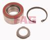 FAG 713649270 Wheel Bearing Kit