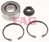 FAG 713678050 Wheel Bearing Kit