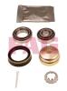 FAG 713610370 Wheel Bearing Kit