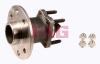 FAG 713644340 Wheel Bearing Kit