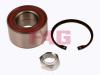 FAG 713614020 Wheel Bearing Kit