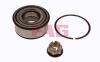 FAG 713630050 Wheel Bearing Kit