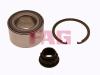 FAG 713618660 Wheel Bearing Kit