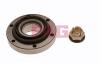 FAG 713630170 Wheel Bearing Kit