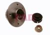 FAG 713630690 Wheel Bearing Kit
