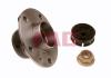FAG 713630870 Wheel Bearing Kit