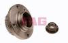 FAG 713667140 Wheel Bearing Kit