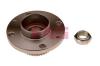 FAG 713690550 Wheel Bearing Kit