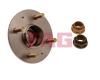 FAG 713617410 Wheel Bearing Kit