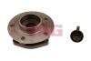 FAG 713660310 Wheel Bearing Kit