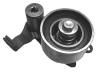 FLENNOR FS60901 Tensioner Pulley, timing belt