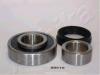 ASHIKA 44-28010 (4428010) Wheel Bearing Kit