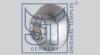 ST-TEMPLIN 03.110.2403.000 (031102403000) Brake Disc