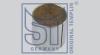 ST-TEMPLIN 03.070.4200.430 (030704200430) Bush, brake shoe pin