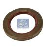 DT 4.20347 (420347) Shaft Seal, manual transmission