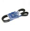 DT 5.41410 (541410) V-Ribbed Belts