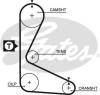 GATES 5109 Timing Belt