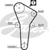 GATES 5421XS Timing Belt