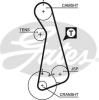 GATES 5424XS Timing Belt