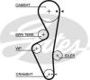 GATES 5430XS Timing Belt