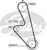 GATES 5449 Timing Belt