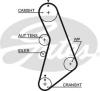GATES 5491XS Timing Belt