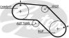 GATES 5504XS Timing Belt