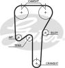 GATES 5533XS Timing Belt