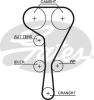 GATES 5550XS Timing Belt