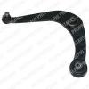 DELPHI TC874 Track Control Arm