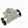 DELPHI LW90058 Wheel Brake Cylinder