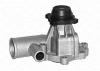 MAGNETI MARELLI 350981621000 Water Pump