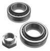NK 752519 Wheel Bearing Kit