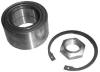 NK 751911 Wheel Bearing Kit