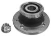NK 763925 Wheel Bearing Kit