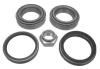 NK 753207 Wheel Bearing Kit