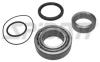 SPIDAN 26868 Wheel Bearing Kit