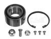 MEYLE 1004980019 Wheel Bearing Kit