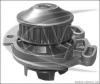 VAICO V10-50019 (V1050019) Water Pump