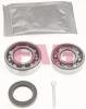 FAG 713623120 Wheel Bearing Kit