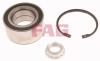 FAG 713667790 Wheel Bearing Kit