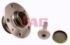 FAG 713610690 Wheel Bearing Kit