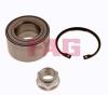 FAG 713617160 Wheel Bearing Kit
