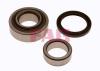 FAG 713617240 Wheel Bearing Kit